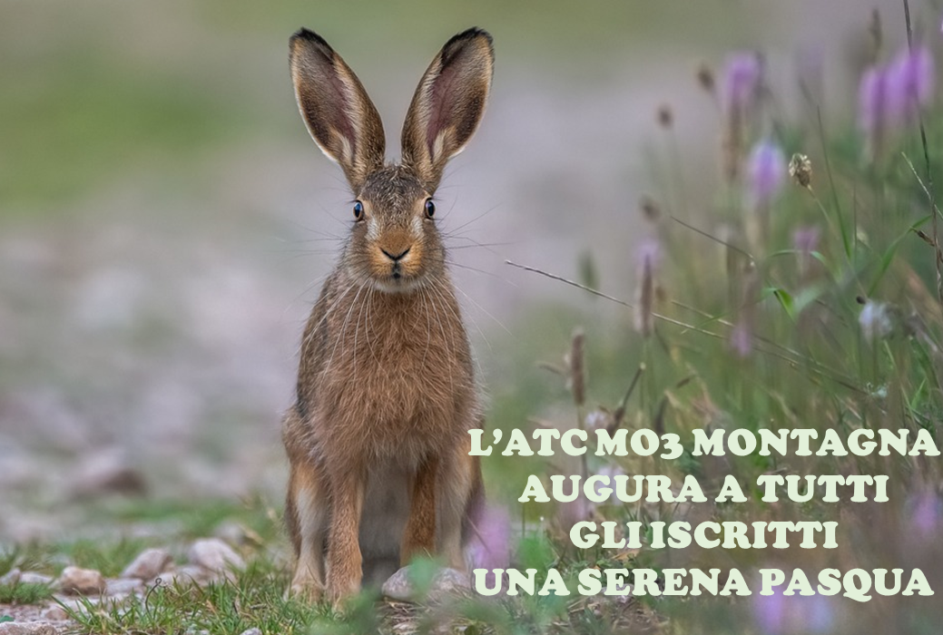 ATCMO3 AUGURA A TUTTI BUONA PASQUA