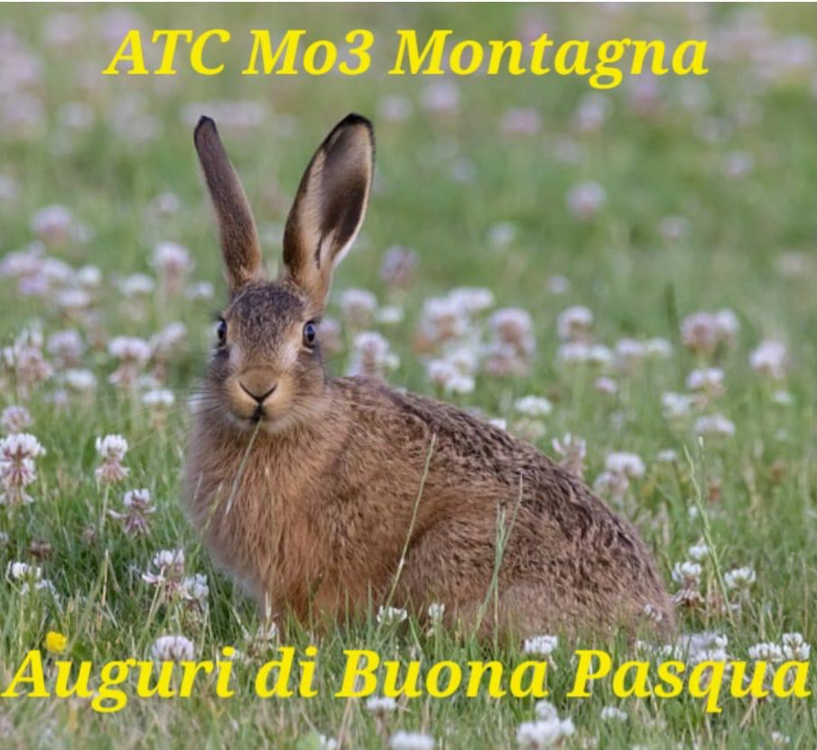 ATCMO3 AUGURA A TUTTI BUONA PASQUA